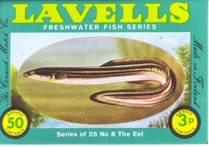 うなぎ海外ポストカード印刷物