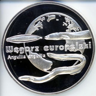 うなぎのコイン