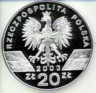 うなぎのコイン