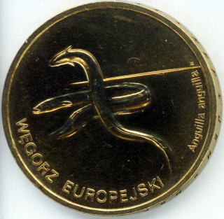 うなぎのコイン