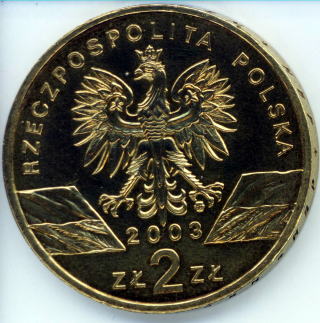 うなぎのコイン