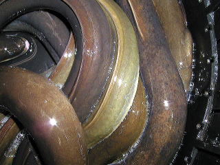 天然うなぎクダリ