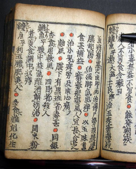 うなぎと梅干　食い合わせ