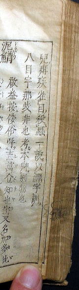 うなぎの古文書