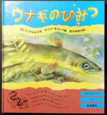 うなぎの本民話童話児童書関係