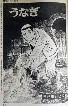 うなぎの本雑誌その他