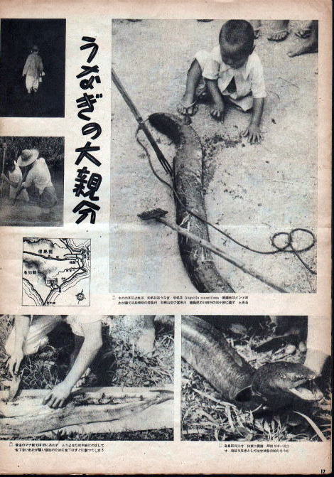 うなぎの本雑誌その他