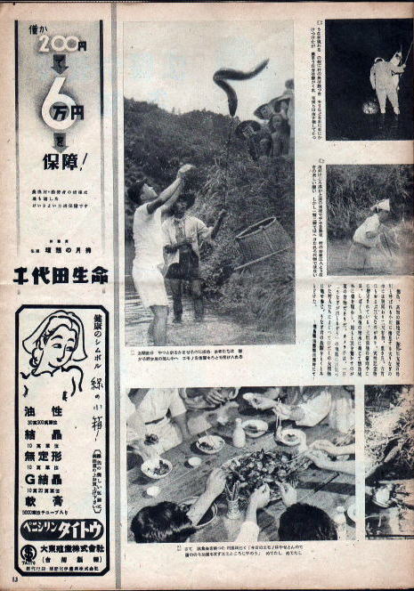 うなぎの本雑誌その他