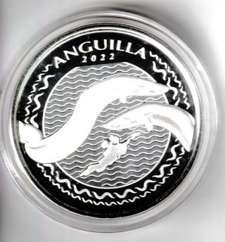 うなぎのコイン