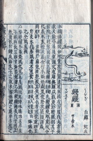 うなぎの古文書