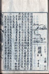 うなぎの古文書