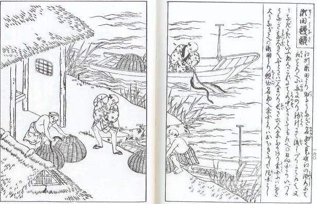 うなぎの古文書