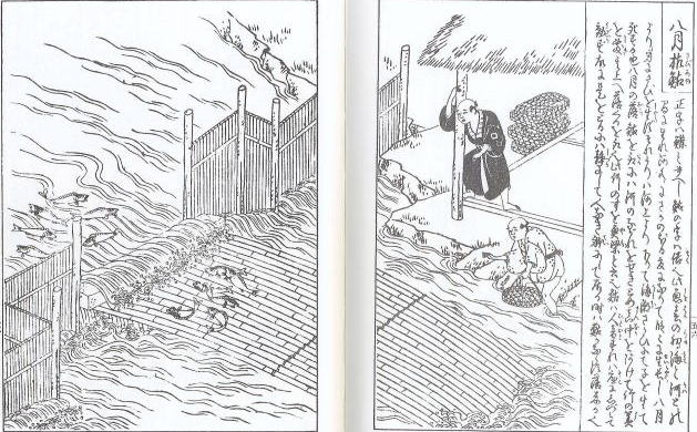 うなぎの古文書