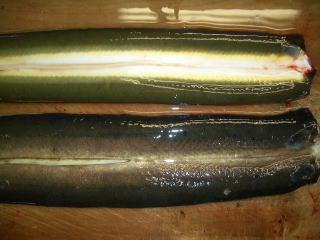 天然うなぎ黒比較