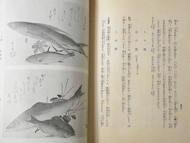 うなぎの古文書