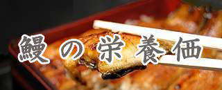鰻の栄養価