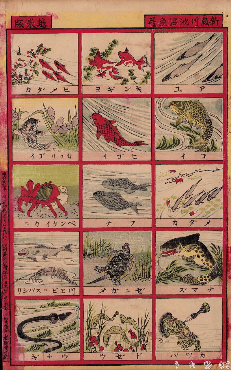 うなぎ　浮世絵　新版川池沼魚尽　明治27年